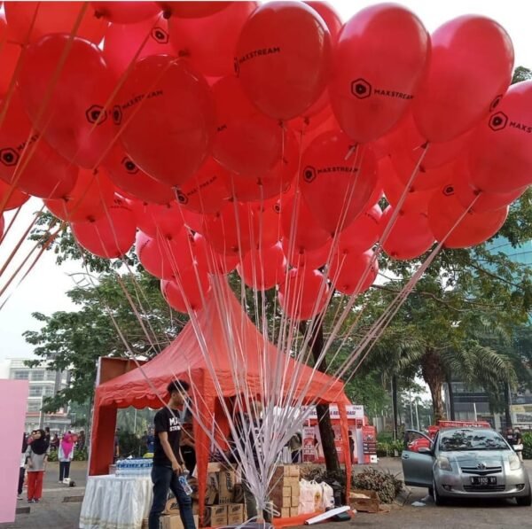 BALON PELEPASAN - Gambar 4