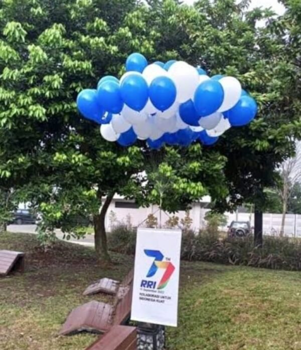 BALON PELEPASAN - Gambar 2