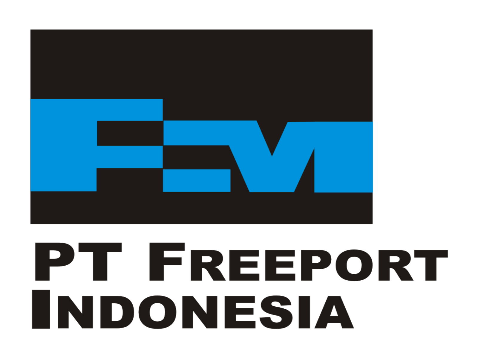 logo pt