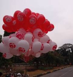 IMG-20250528-WA0003